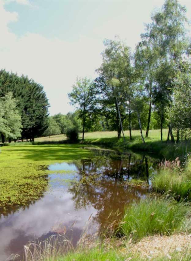 Saint-Paul-la-Roche Domaine Des Grandes Landesヴィラ エクステリア 写真
